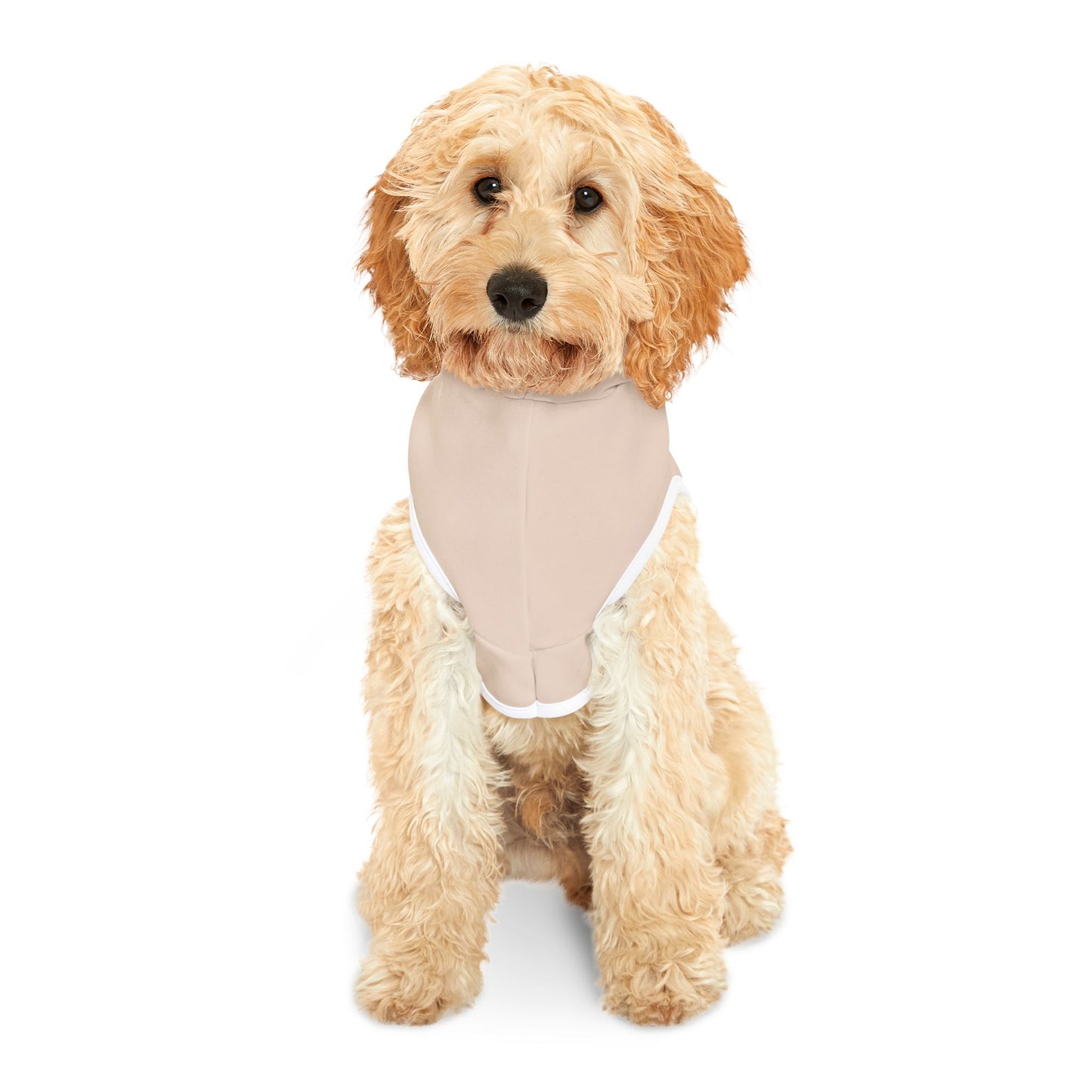 Beige Aesthetic Pet Hoodie