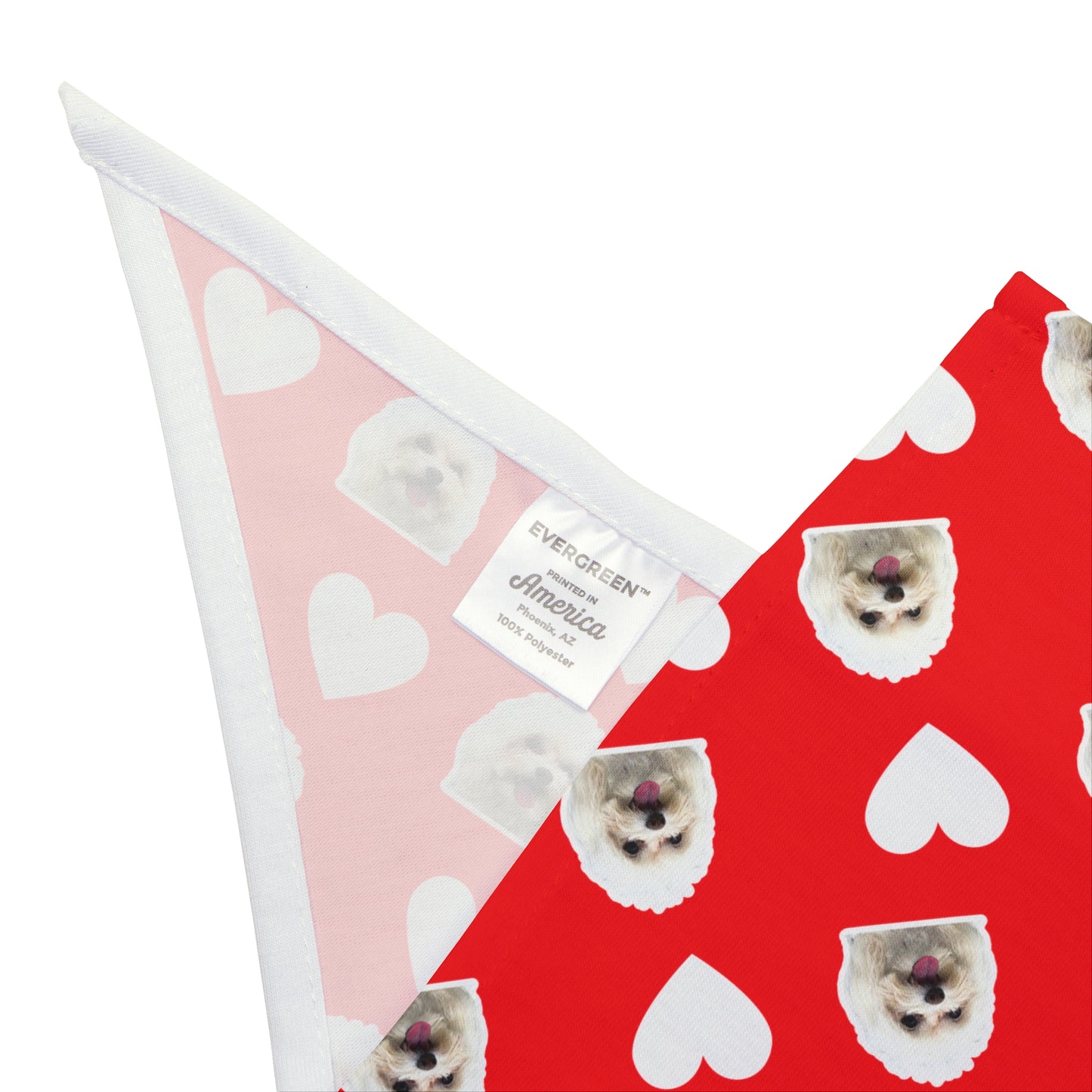 Custom Pet Portrait Bandana