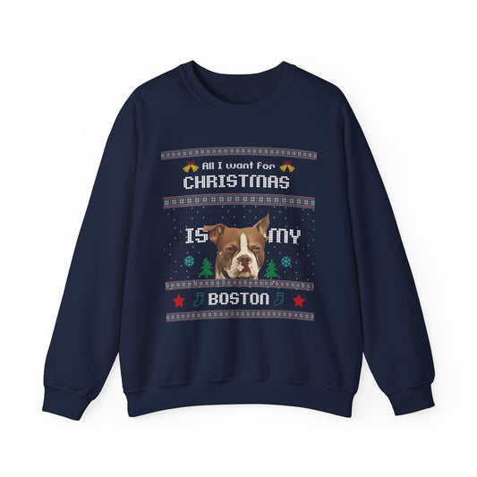 Christmas Pet Ugly Sweatshirt